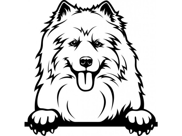 Самоед трафарет