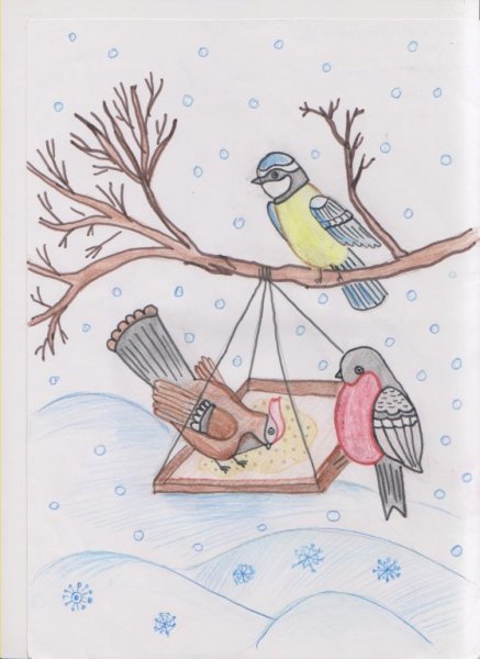 Рисование Покормите птиц зимой старшая группа