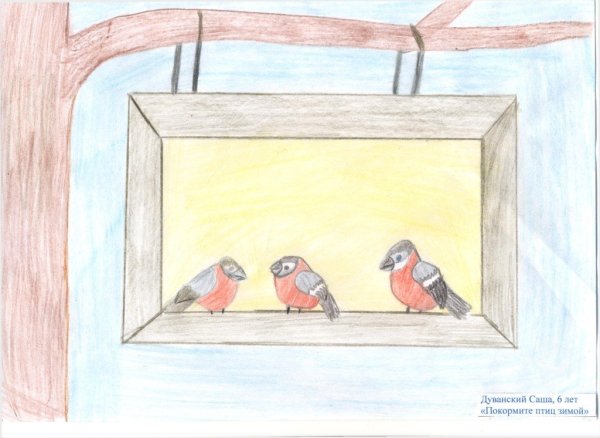 Кормушка для птиц рисунок