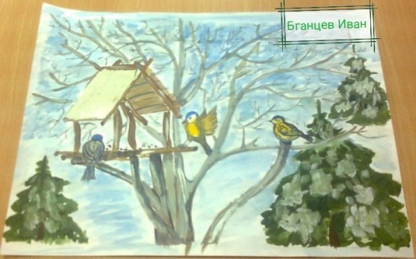 Раскраска кормушка для птиц для детей