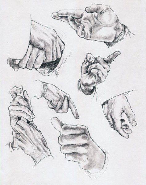 Зарисовки кистей