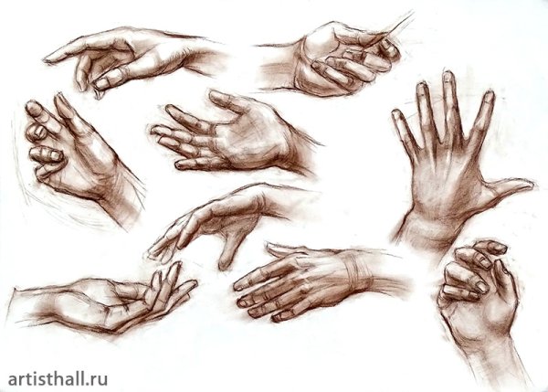 Рука рисунок