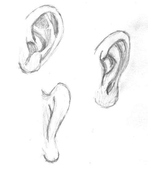 Ухо карандашом