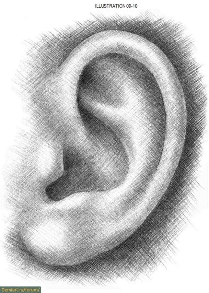 Ухо карандашом