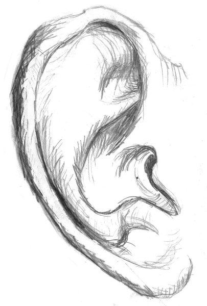 Рисунок уха человека