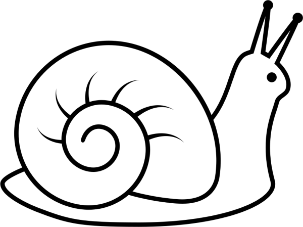 Улитка раскраска