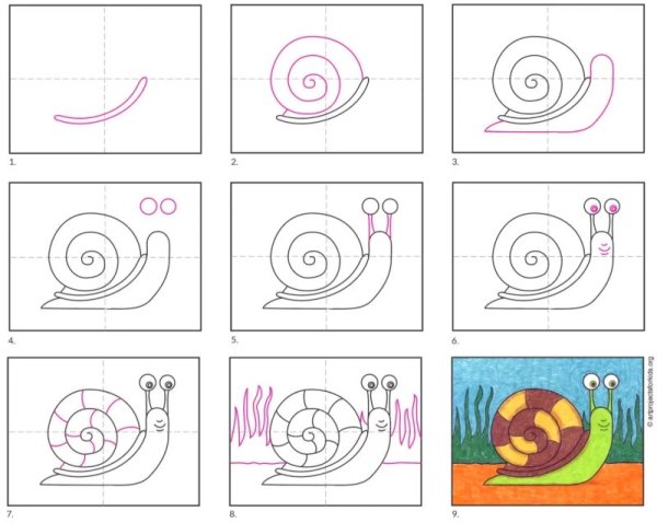 Моллюски раскраска