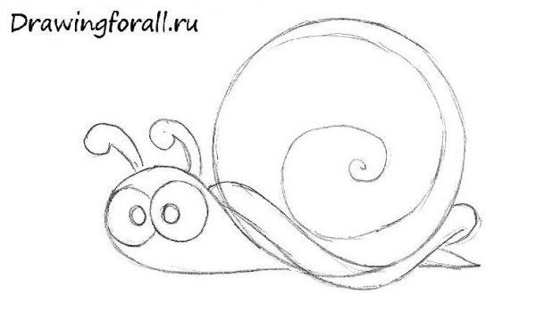 Улитка контур
