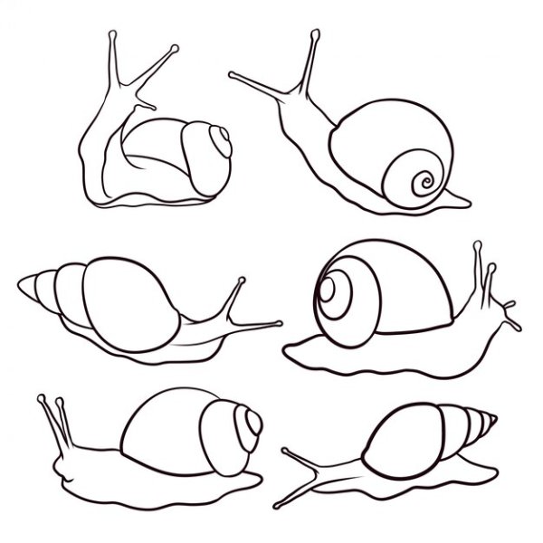 Улитка картинка для детей на прозрачном фоне