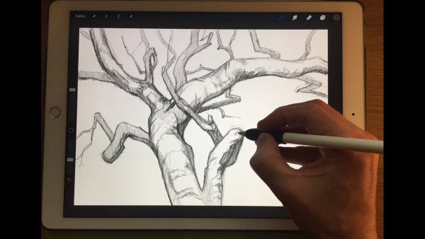 IPAD Apple Pencil Procreate