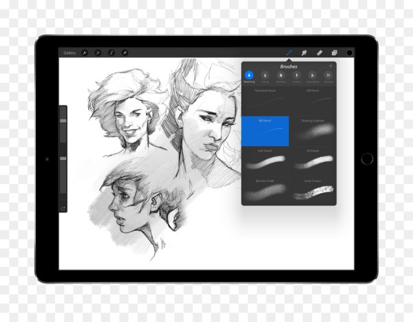 Приложение Procreate для IPAD