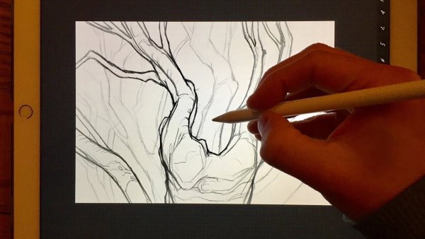 Apple Pencil Procreate