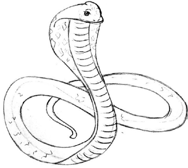 Красиво нарисованная Кобра