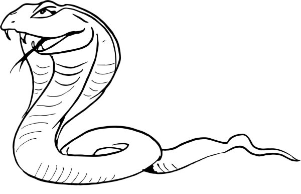 Поэтапное рисование змей