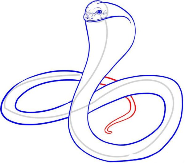 Шаблон змеи для рисования