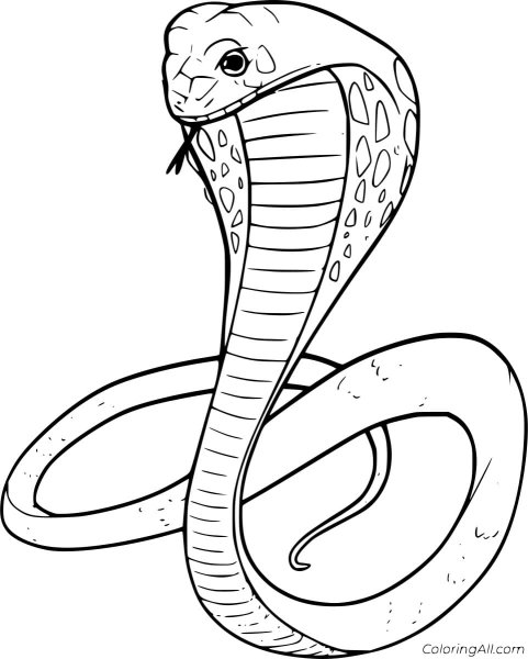 Змея раскраска для детей