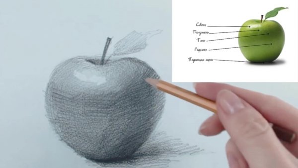 Яблоко свет и тень