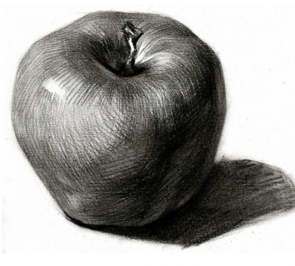 Яблоко штриховка карандашом