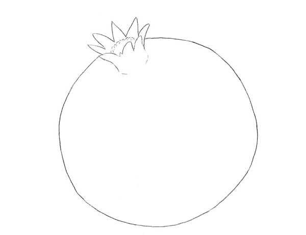 Гранат карандашом