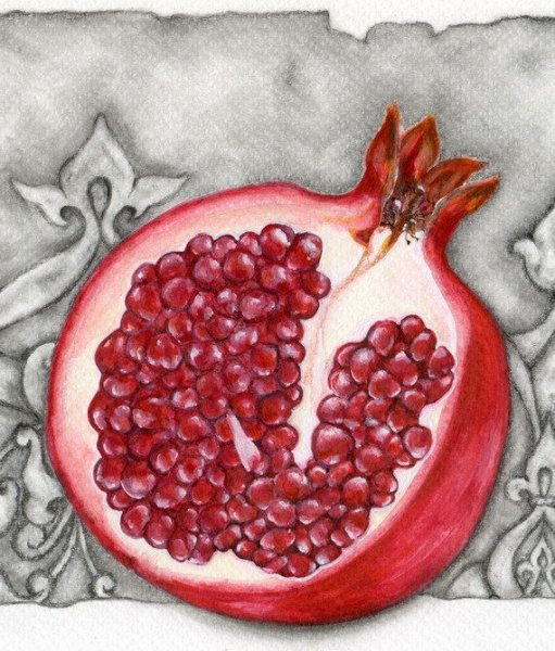 Гранат акварелью