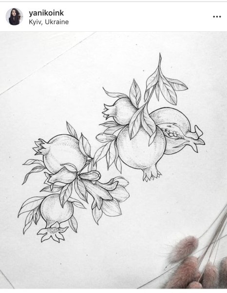 Раскраска фрукты гранат