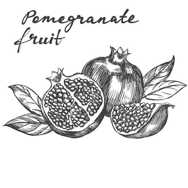 Гранат карандашом