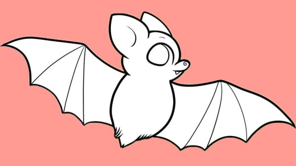 Знак Бэтмена