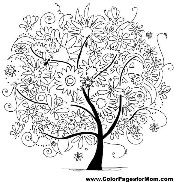 Сказочное дерево графства Клэр