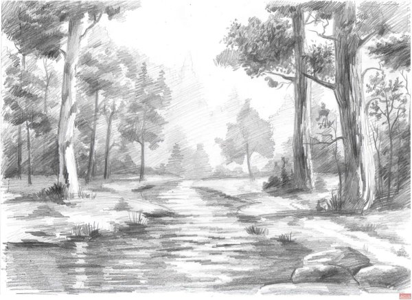 Природа карандашом