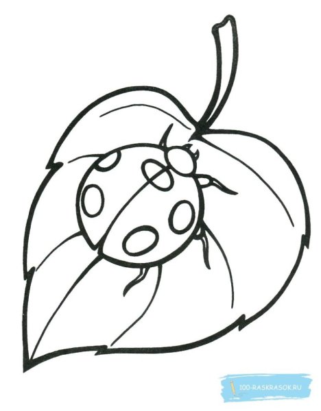 Этапы рисования Божьей коровки для детей