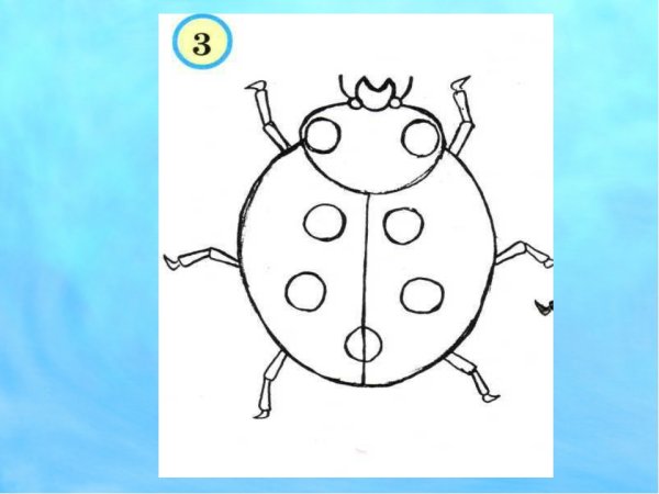 Поэтапное рисование Божьей коровки