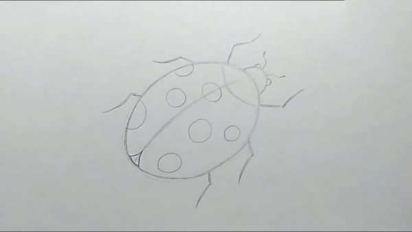 Рисование для детей Божья коровка