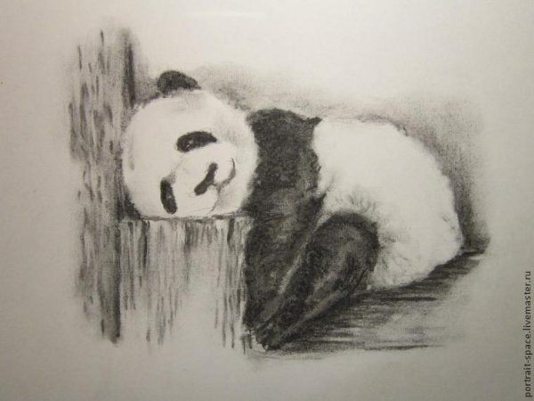 Портрет углем