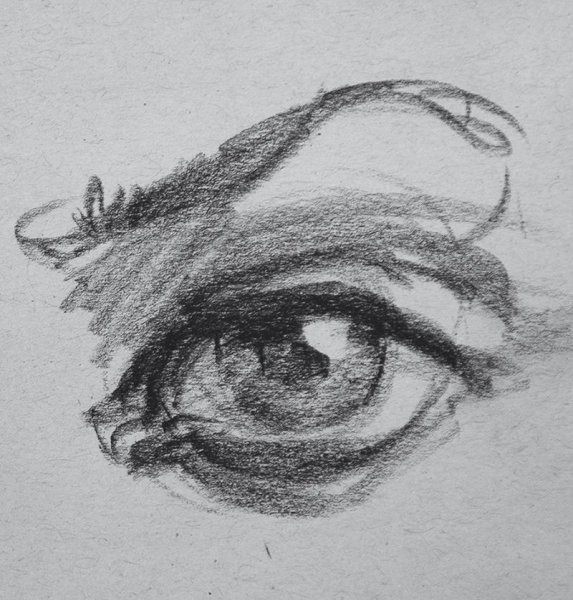 Stephen Bauman портреты