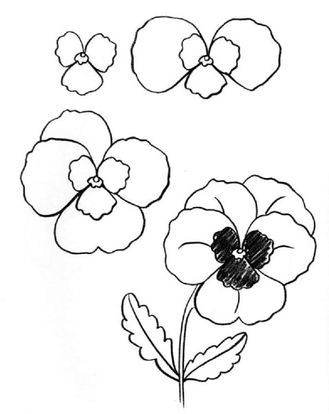 Фиалка поэтапное рисование