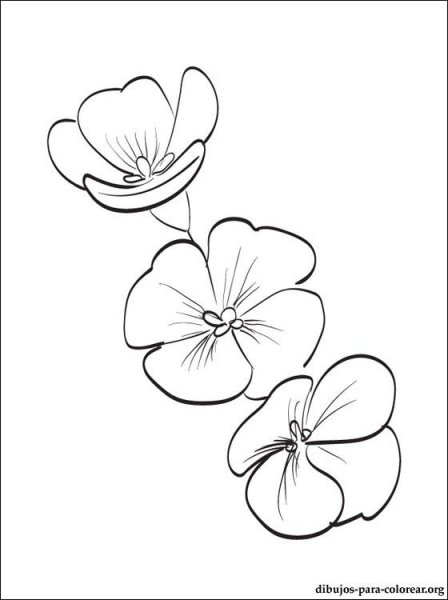 Трафарет фиалки для рисования