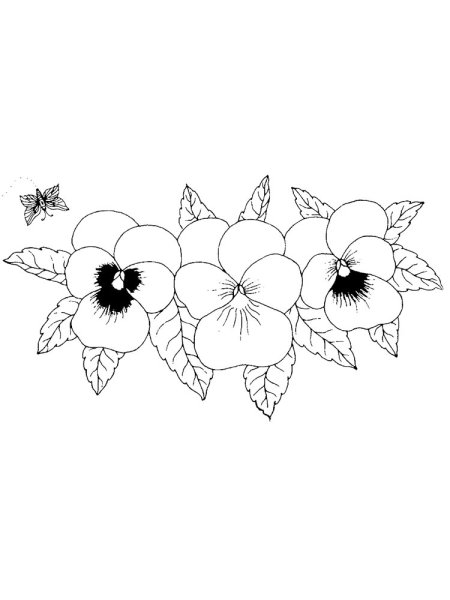 Анютины глазки раскраска