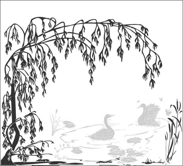 Ива набросок