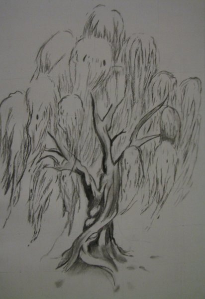 Плакучая Ива референс