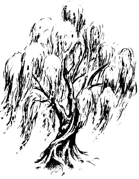 Ива раскраска для детей