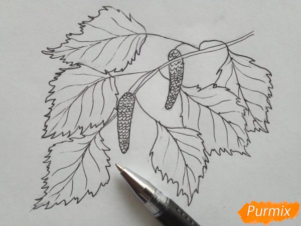 Рисовани листвы берёзы