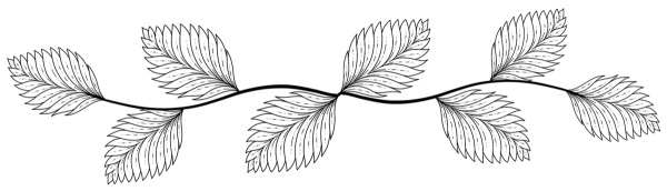 Ветка раскраска