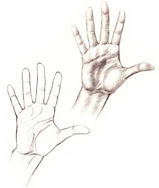 Ладонь карандашом