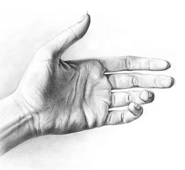 Руки карандашом
