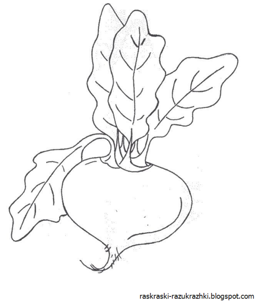 Раскраска. Репка