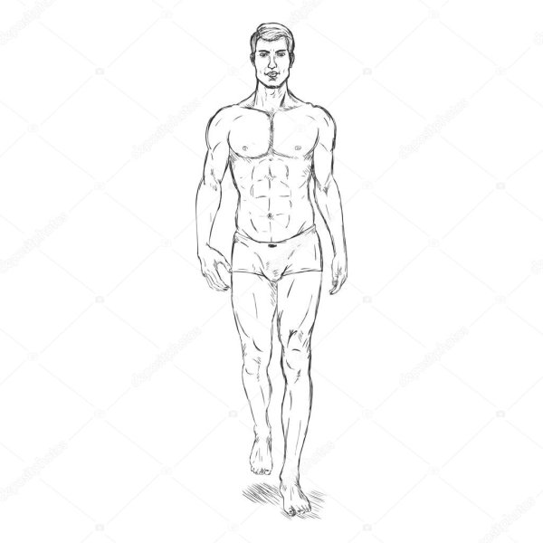 Референс человека в полный рост аниме