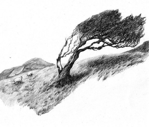 Пейзаж карандашом