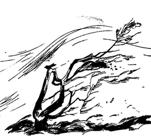 Ветер карандашом