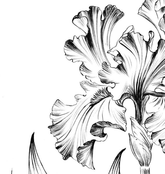 Ирис гелевой ручкой