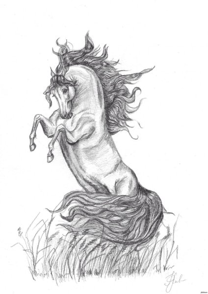 Лесной царь Шуберт рисунок